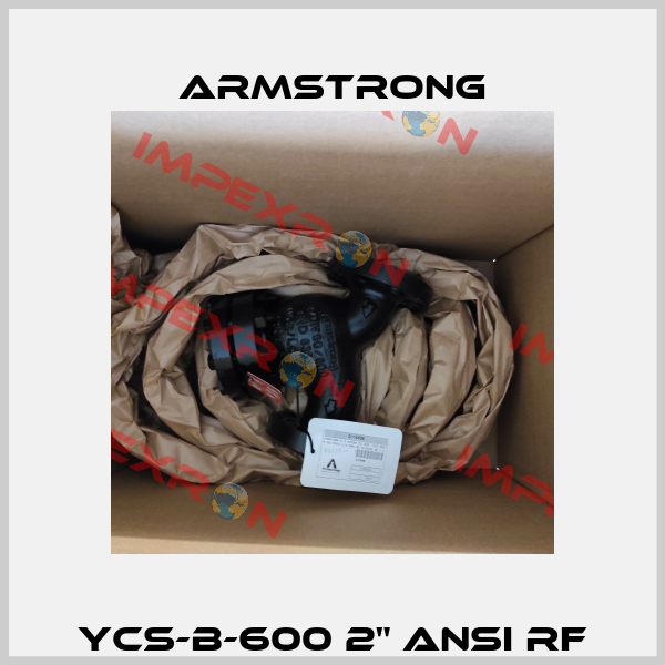 YCS-B-600 2" ANSI RF Armstrong