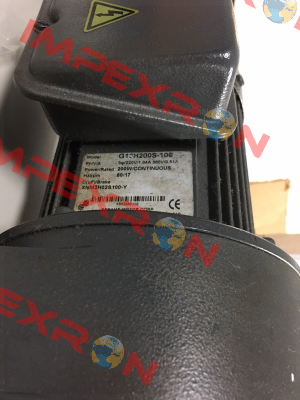 G13H200S-100 Sesame Motor