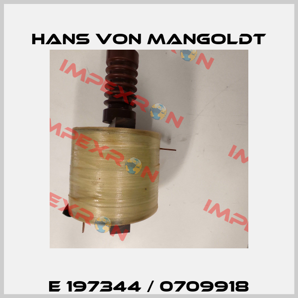 E 197344 / 0709918 Hans von Mangoldt