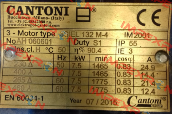 DS-Motor 3 SIEL 132 M-4 Cantoni