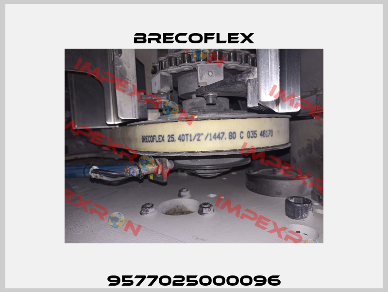 9577025000096 Brecoflex