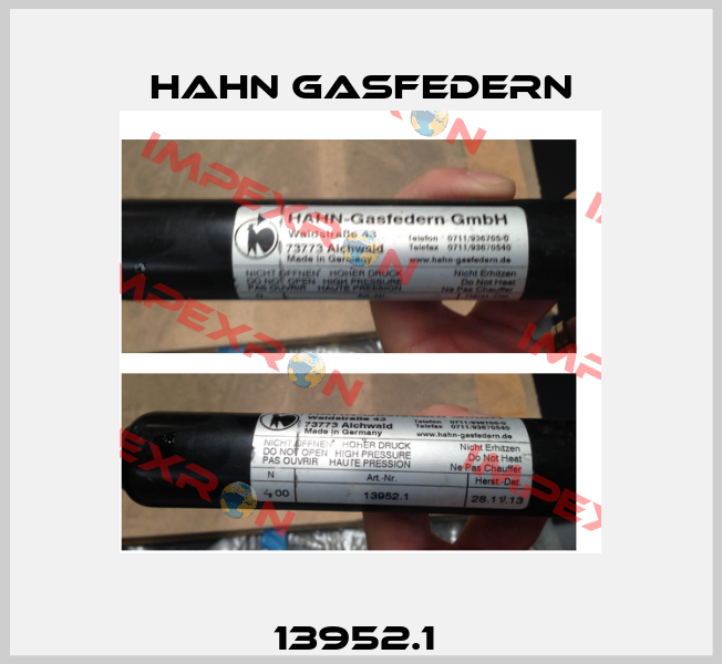 13952.1  Hahn Gasfedern