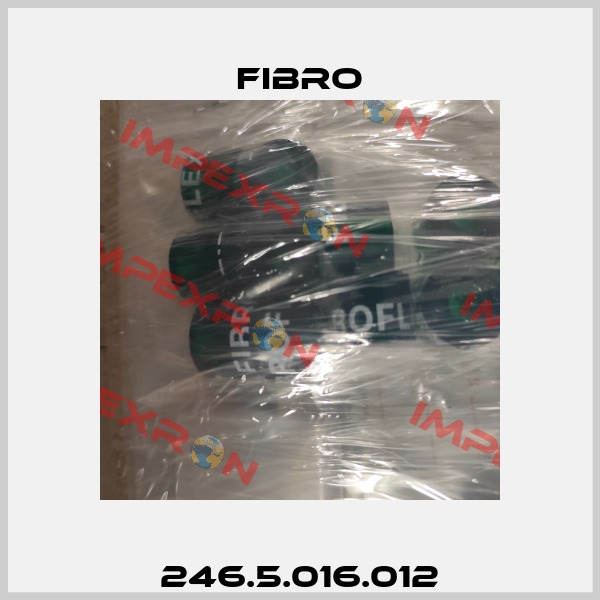 246.5.016.012 Fibro