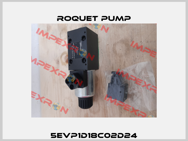 5EVP1D18C02D24 Roquet pump