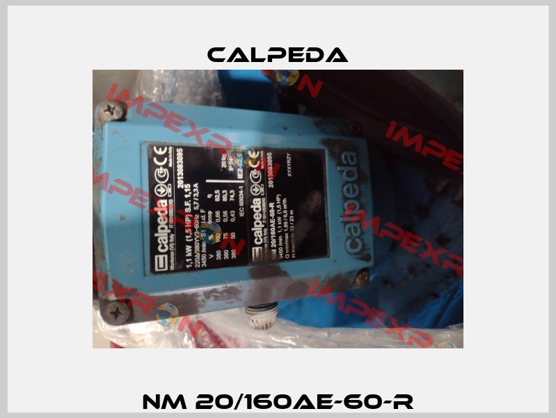 NM 20/160AE-60-R Calpeda